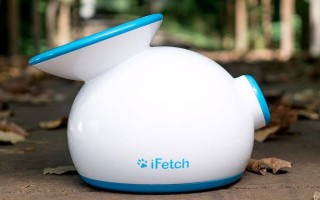iFetch Original