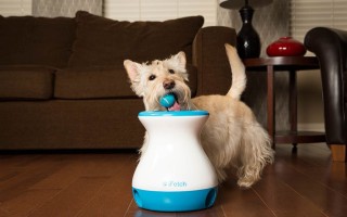 iFetch Frenzy
