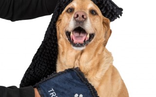 Willow Dog Drying Mitt